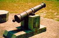 Cannon on Fannin monument