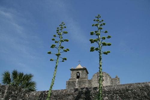 Goliad State Park Mission Goliad Texas 