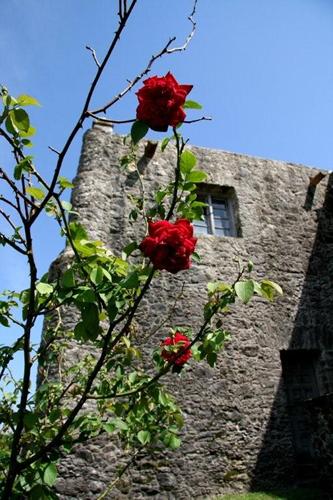 Goliad State Park Mission Goliad Texas 