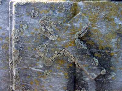 Lichen on cross,   Gussetville Cemetery tombstone, Texas