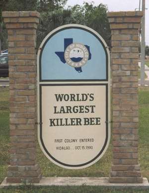 World's Largest Killer Bee Marker, Hidalgo Texas
