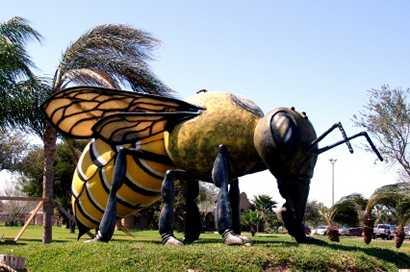 World's Largest Killer Bee, Hidalgo Texas
