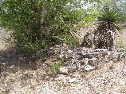 Lagarto TX Cemetery Early Grave with Spanish Daggers