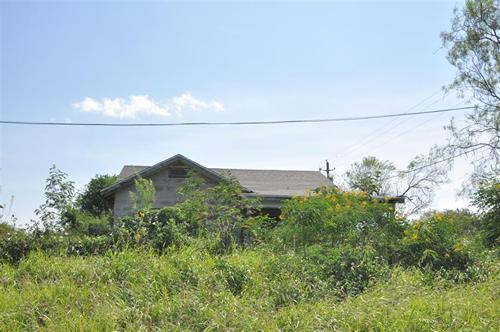 Oilton TX - Vegetation1