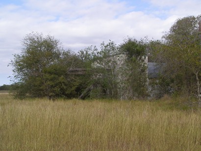 Olmos TX closed gas station  & tall grass