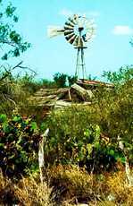 Windmill in San Isidro, Texas