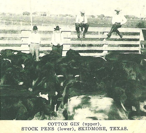 Skidmore TX stock pens, 1908