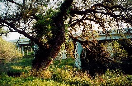 Tilden TX  Bridge