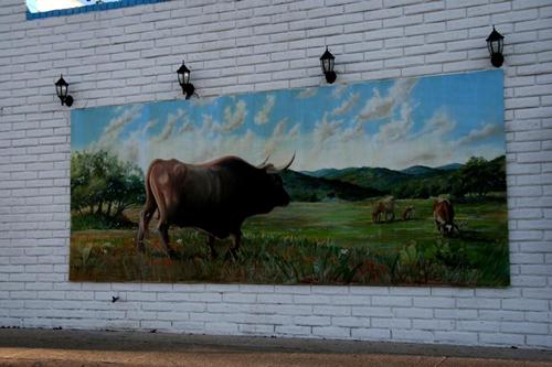 Universal City Texas mural