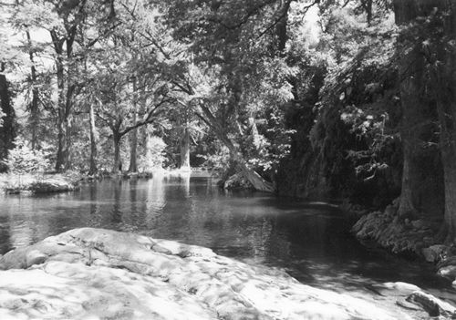 Krause Springs swimming hole, Spicewood, Texas