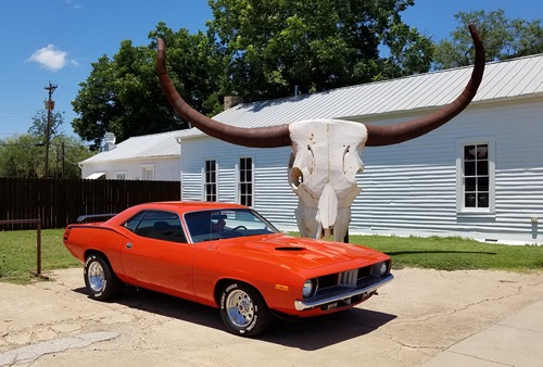 Albany TX - Giant Cow Skull 