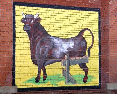 Baird TX - Bull Durham Ghost Sign