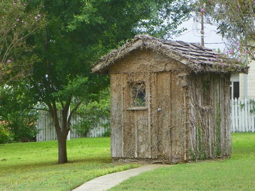 Burton Tx - Over Grown Shed 