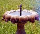 Birdbath with spigot