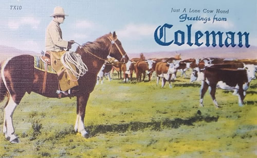 Coleman TX - Cow Hand