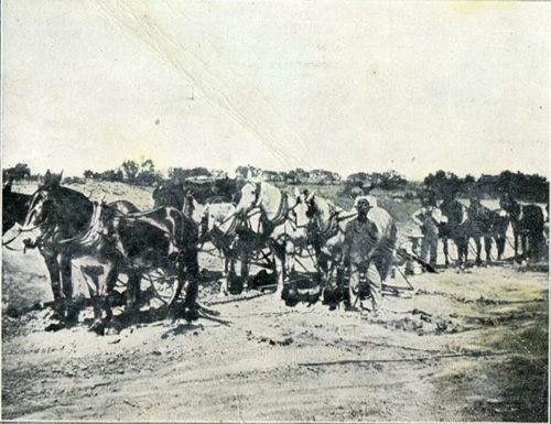 Coleman TX - Horse Teams.