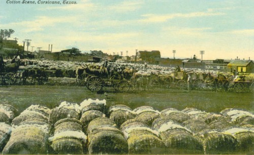 Corsicana Texas - Cotton Scene