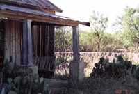 Porch with cactus