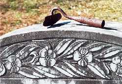 tombstone in Ellinger Cemetery