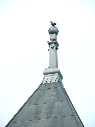 TX Dove On Church Steeple