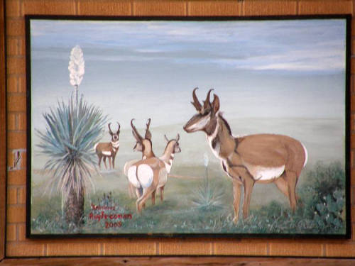 Hale Center Tx Mural - Antelopes