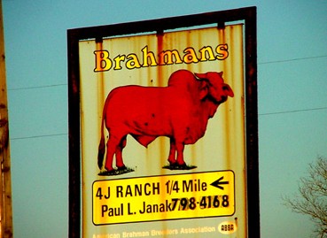 Hallettsville TX Brahams Sign