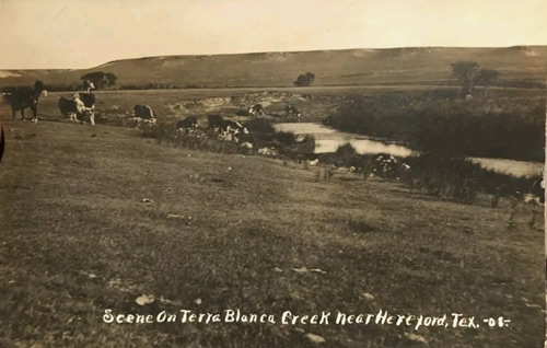 Hereford TX - Deaf Smith County, Terra Blanca Creek