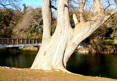 Kerrville, Texas river and park