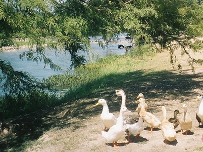 Guadalupe River, Kerrville, Texas