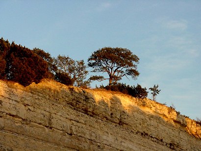 Kerrville Texas cliff with trees