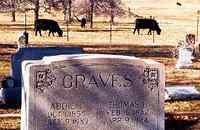 Lilac Texas cemetery