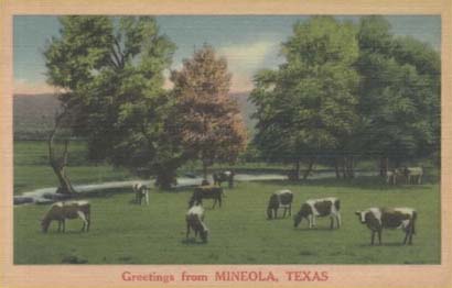 Cows in pasture and pond