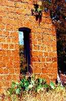 Pontotoc Tx ruins of former San Fernando Academy, with cactus
