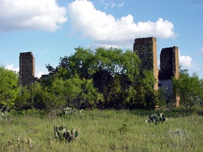 Ruins with vegetation,  Pontotoc Texas