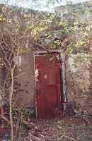 Sutherland Springs TX - Old town bank vault with tree