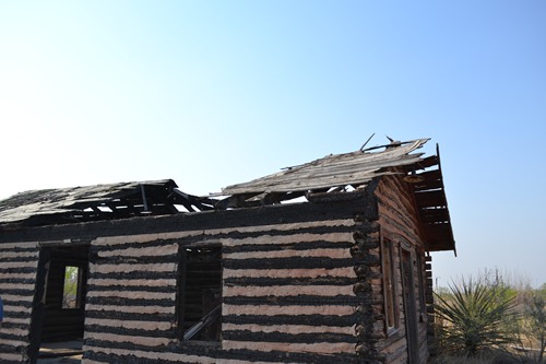 Texon TX - Log cabin