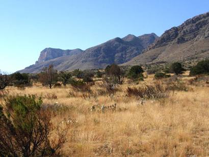 Guadalupe Peak Tx - Guadalupe Mountain National Park