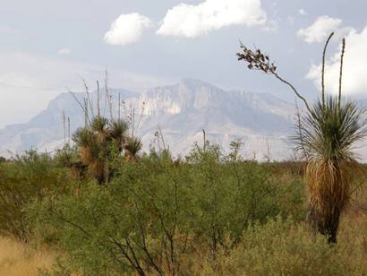 Guadalupe Peak from the south on SH 54