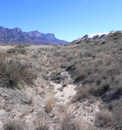 Guadalupe Peak - Signal PeakTx - Wagon Ruts to The Dunes