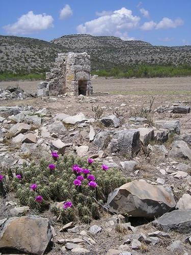 Ft Lancaster ruins with blooming cactus