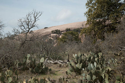 TX - Enchanted Rock view from base camp