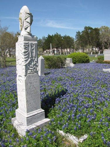 TX Bluebonnets in La Grange Cemetery