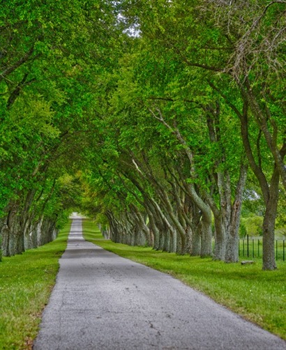 TX Ranch Entrance