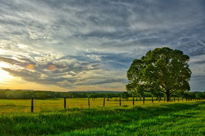 TX Road Scene