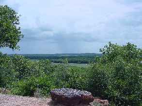 Palmetto State Park view