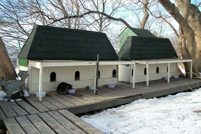 Ottowa Canada, Parliament Hill Cats' shelter