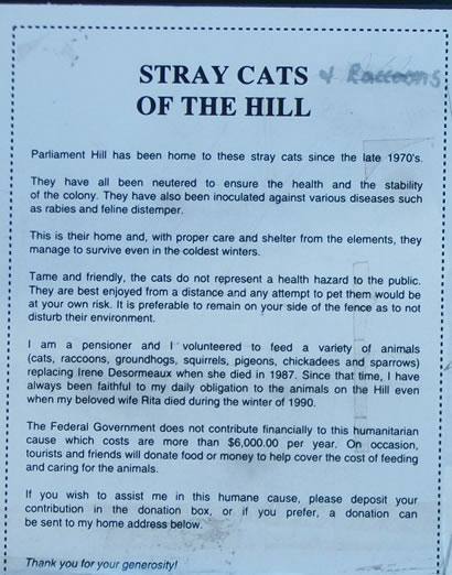 Ottowa Canada -  Stray Cats  of Parliament  Hill story