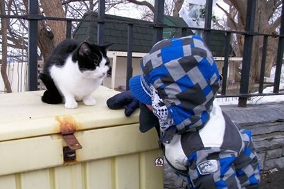 Ottowa Canada, Parliament Hill - Boy admiring Cat 'Moo'