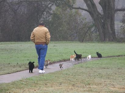 Columbus TX Cat walk