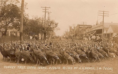 First Turkey Trot, Cuero, Texas  1912 photo